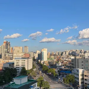 Projec D 리뷰 사진