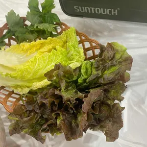 용문산 첫번째식당 사진