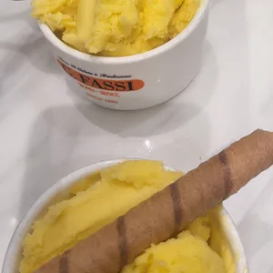 지파시 사진