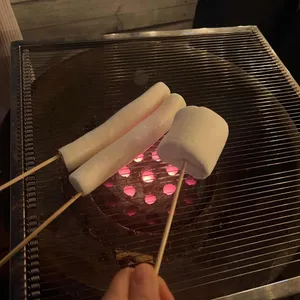 야행성 사진