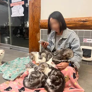 야행성 리뷰 사진