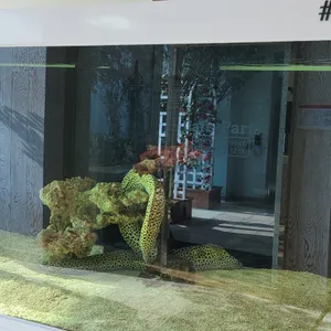 카페 파리 리뷰 사진