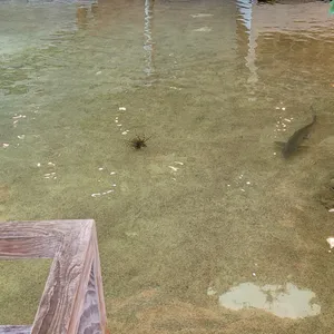 카페 파리 리뷰 사진