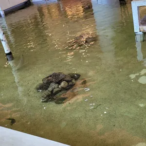 카페 파리 리뷰 사진