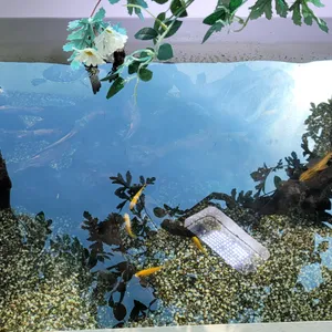 카페 파리 리뷰 사진