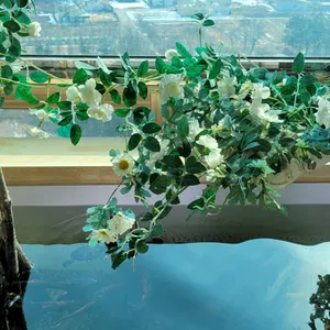 카페 파리 리뷰 사진