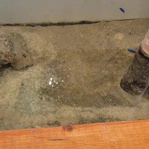 카페 파리 리뷰 사진