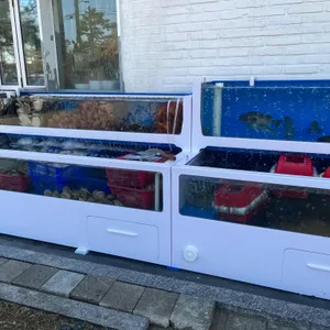 해와 리뷰 사진