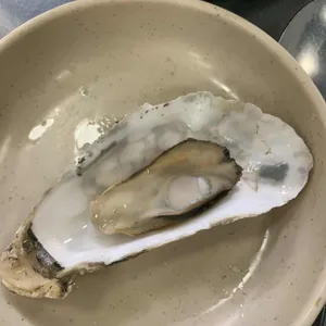 굴사냥 사진