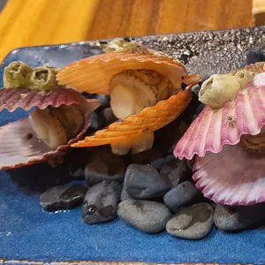 죽림 구을비 사진