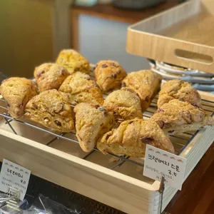 지구본 리뷰 사진