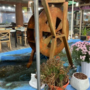 한마당식당 리뷰 사진