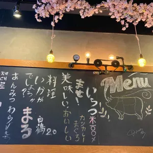 교토카츠 리뷰 사진