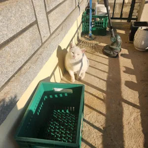 카페 로비 사진