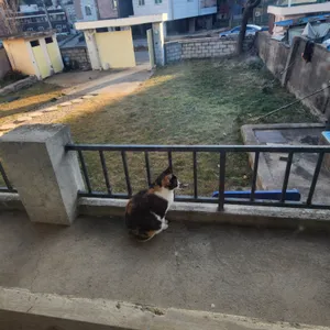 카페 로비 리뷰 사진