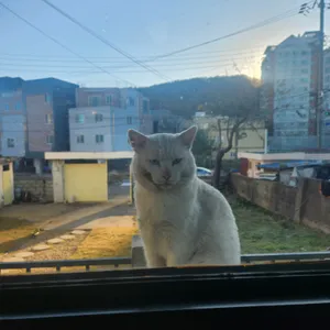 카페 로비 리뷰 사진