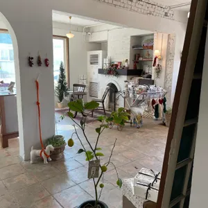 누뗀 리뷰 사진