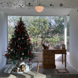 누뗀 리뷰 사진