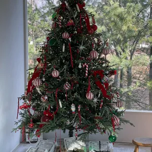 누뗀 리뷰 사진