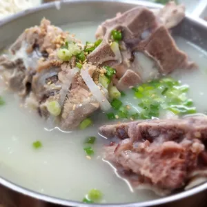 일억조 사진