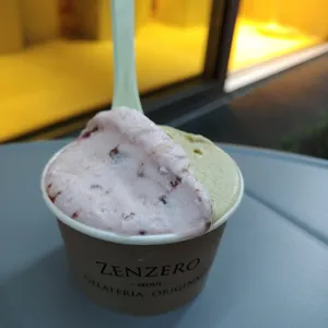 젠제로 도산 사진
