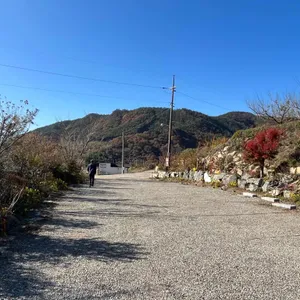 그냥 리뷰 사진