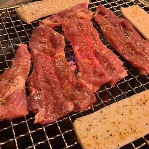 가야노다지 사진