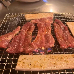 가야노다지 사진