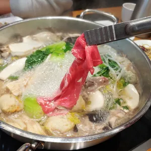 샤브플란트 사진