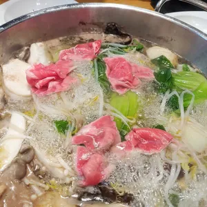 샤브플란트 사진