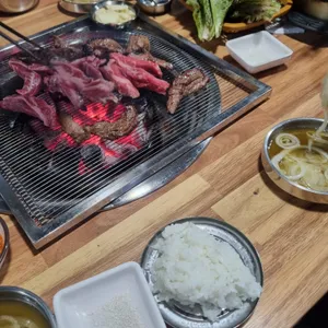 은행나무 갈매기 사진