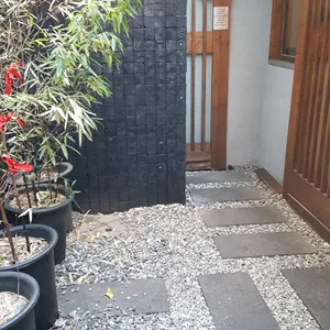 솔솥 리뷰 사진