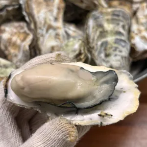 사피엔스 리뷰 사진