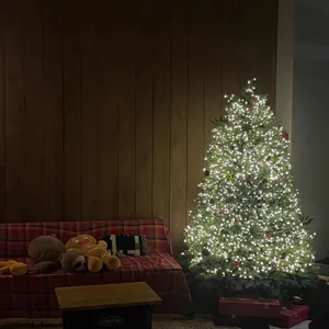 카페 충청도 리뷰 사진