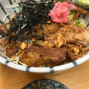 솔직하다 사진