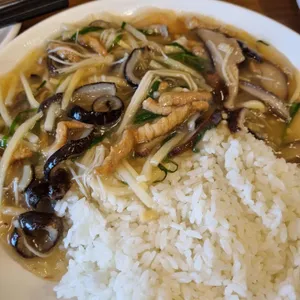 신차이 사진