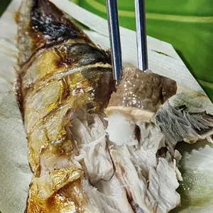 해삼 리뷰 사진