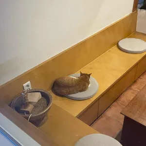 카페 도문 사진