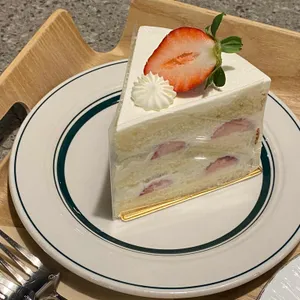 카페담 사진
