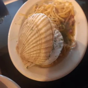 하버 사진