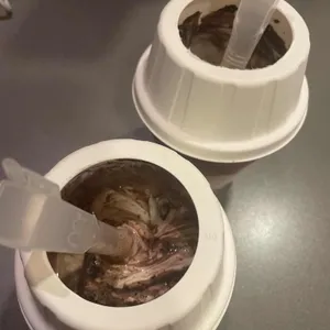 맥도날드 사진