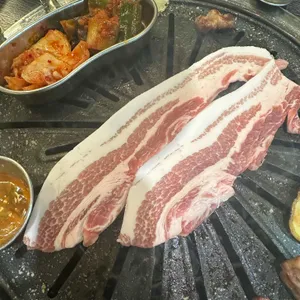 금빛돼지 사진