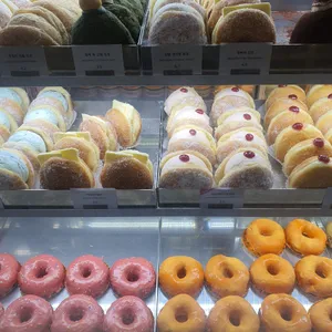 노티드 사진