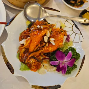하이보 사진