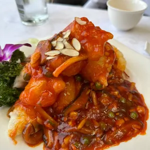 하이보 사진