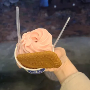 동백카페 사진