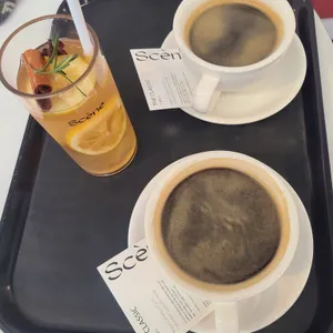 쎈느 사진
