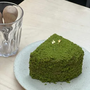 도틀 사진