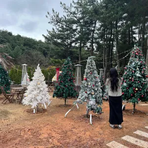 소디스커피 리뷰 사진