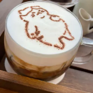 제주냥이 사진